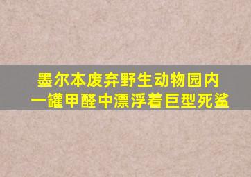 墨尔本废弃野生动物园内 一罐甲醛中漂浮着巨型死鲨